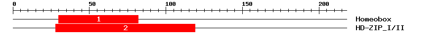 Signature Domain
