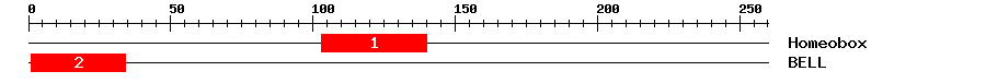 Signature Domain