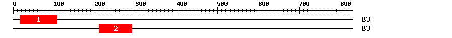 Signature Domain
