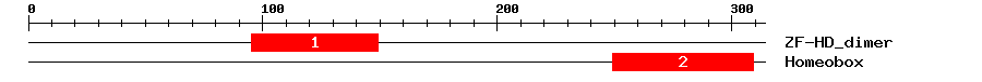 Signature Domain