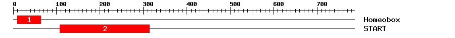 Signature Domain