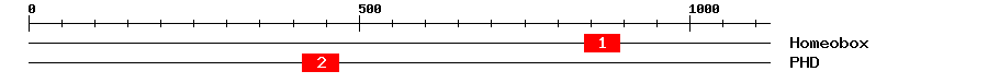 Signature Domain
