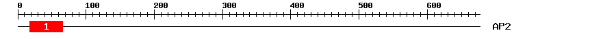 Signature Domain