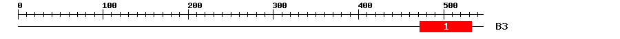 Signature Domain