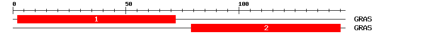 Signature Domain