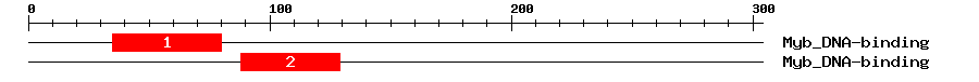 Signature Domain