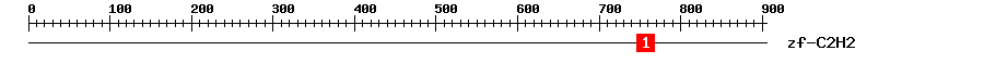 Signature Domain