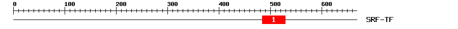 Signature Domain