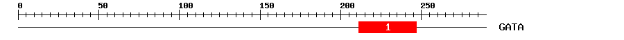 Signature Domain