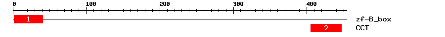 Signature Domain