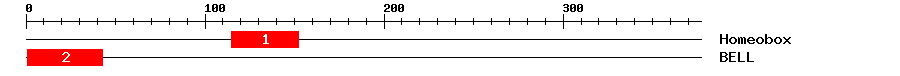 Signature Domain