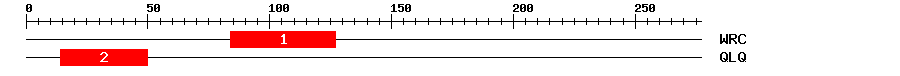 Signature Domain