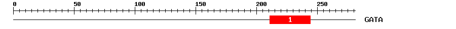Signature Domain