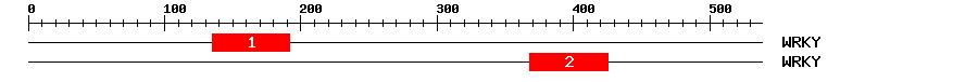 Signature Domain