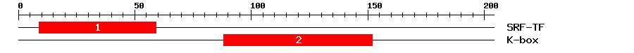 Signature Domain