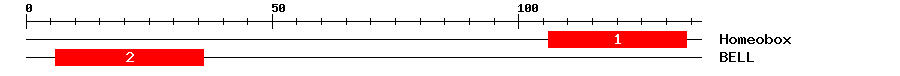 Signature Domain
