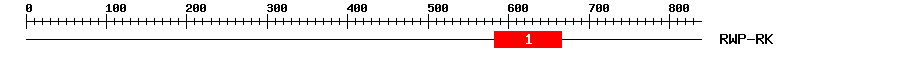 Signature Domain