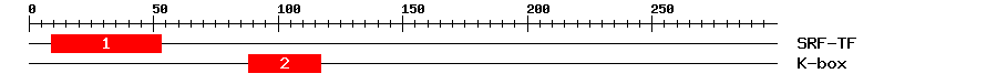 Signature Domain