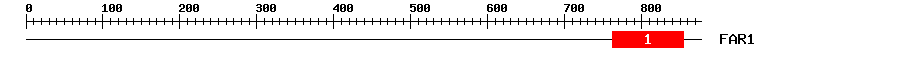 Signature Domain