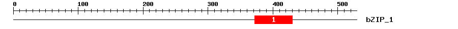 Signature Domain