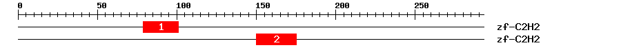 Signature Domain