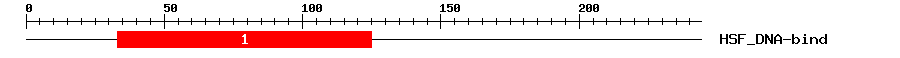 Signature Domain