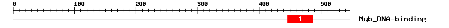 Signature Domain