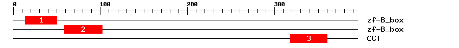 Signature Domain