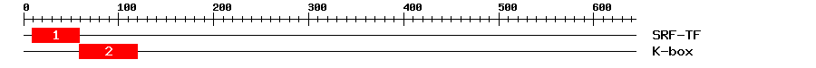 Signature Domain