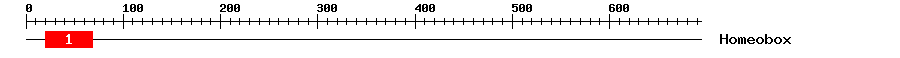 Signature Domain
