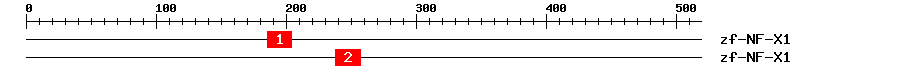 Signature Domain