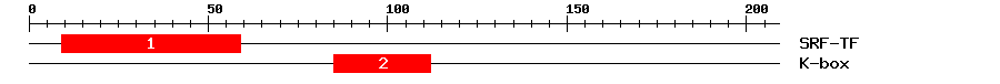 Signature Domain