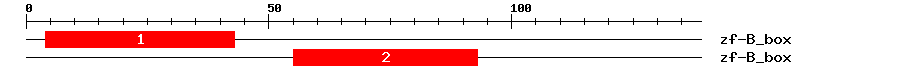 Signature Domain
