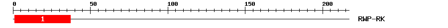 Signature Domain
