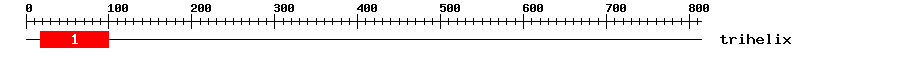 Signature Domain
