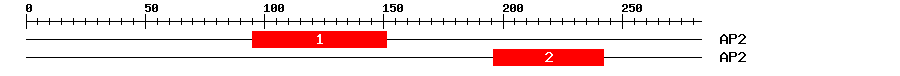 Signature Domain