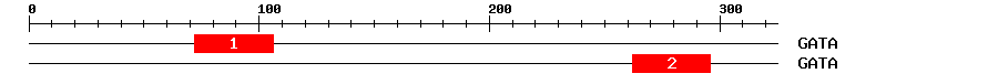 Signature Domain