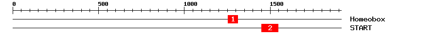Signature Domain