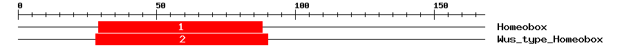 Signature Domain