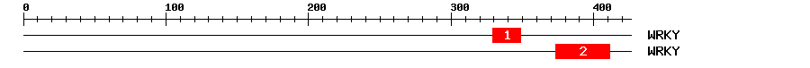 Signature Domain