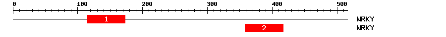 Signature Domain
