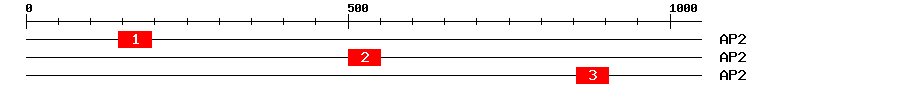 Signature Domain