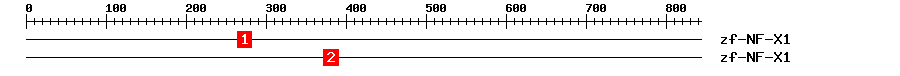 Signature Domain