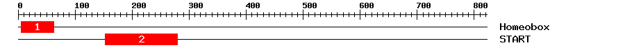 Signature Domain