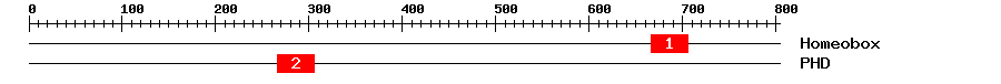 Signature Domain