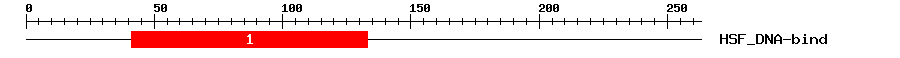 Signature Domain