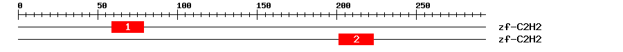 Signature Domain