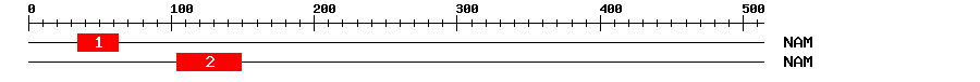 Signature Domain