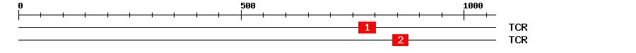 Signature Domain