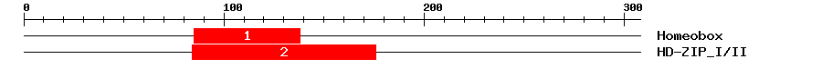 Signature Domain